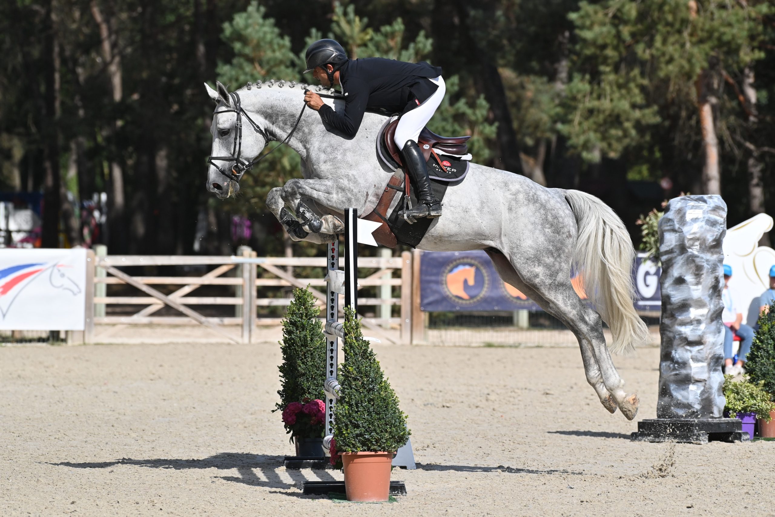 profil Cobalt de Quelennec Z