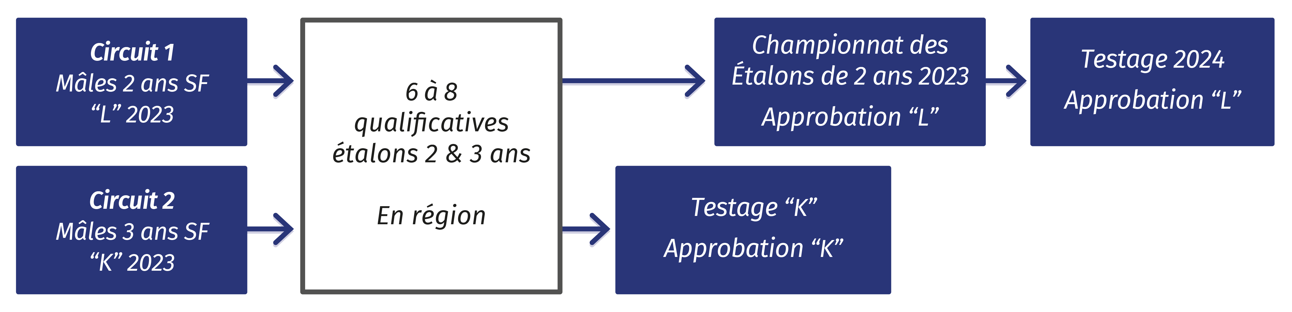 Tableau circuits